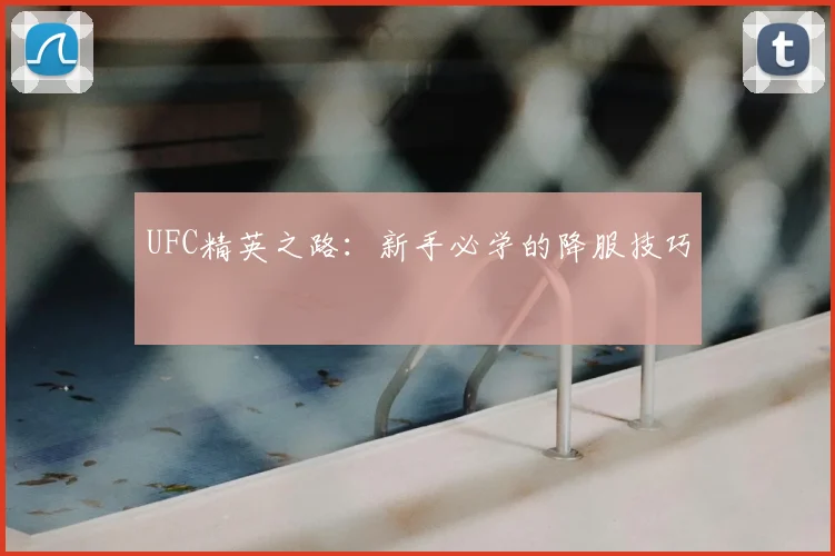 UFC精英之路:新手必学的降服技巧