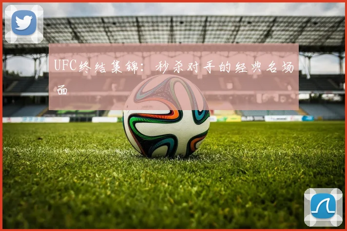 UFC终结集锦:秒杀对手的经典名场面