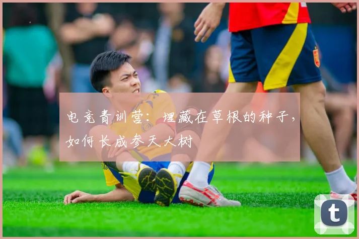 电竞青训营：埋藏在草根的种子，如何长成参天大树