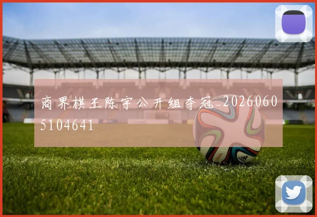 商界棋王陈宇公开组夺冠_20260605104641