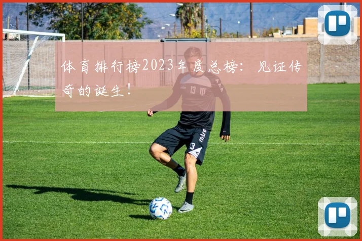 体育排行榜2023年度总榜:见证传奇的诞生!